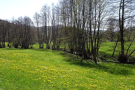 Mergbach zwischen Gumpen und Gesäß 2021