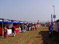 Festividad popular Chitwan Mahotsav en Narayangarh, Chitwan