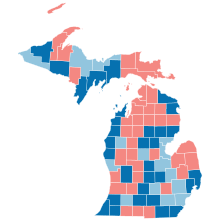 County Flips:
Democratic
Hold
Gain from Republican
Republican
Hold Michigan County Flips 2008.svg