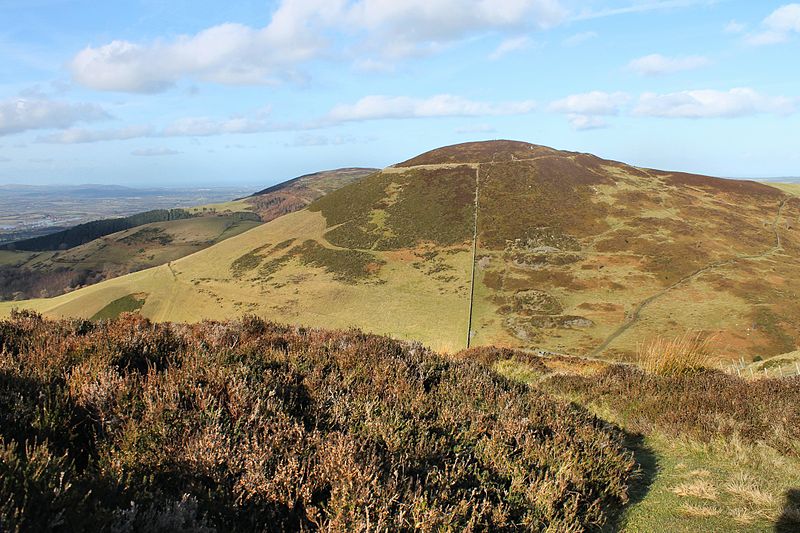 File:Moel Arthur, Sir Ddinbych 02.JPG