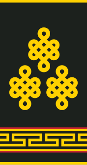 File:Mongolian Army-COL-service 1998-2017.svg