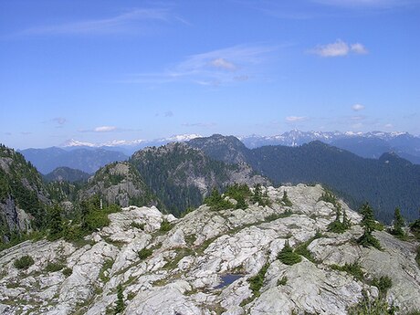 Monte Seymour