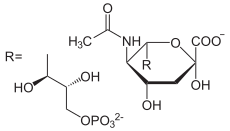 N-Acetylneuraminat-9-phosphat.svg