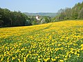 Vorschaubild der Version vom 15:05, 26. Mai 2016