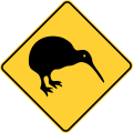 Watch for birds (kiwi, alternate)