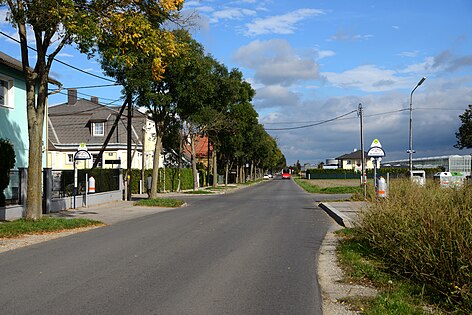 Schafflerhofstraße