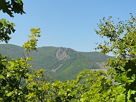 Un tipico paesaggio del Sikhote-Alin nel Primorsky Krai - foreste di querce su una pianura intensamente sezionata