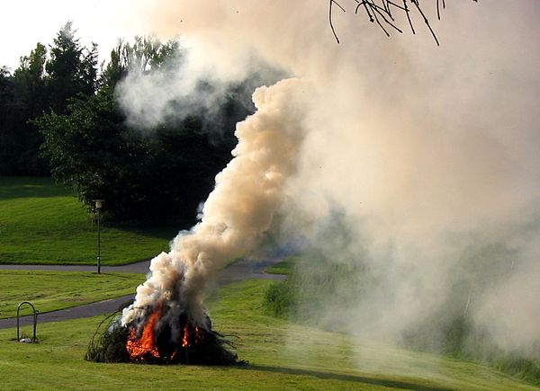 Smoke from a fire