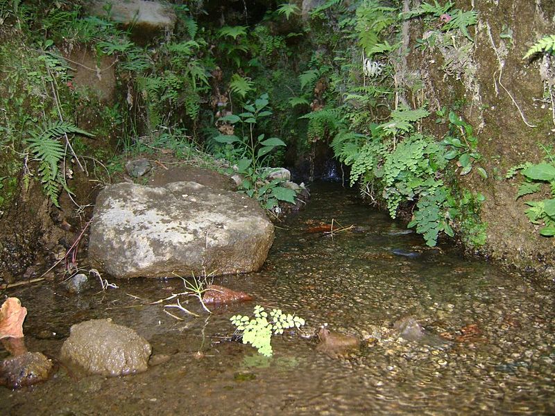 File:Ojo de agua, yancuitlalpan.jpg