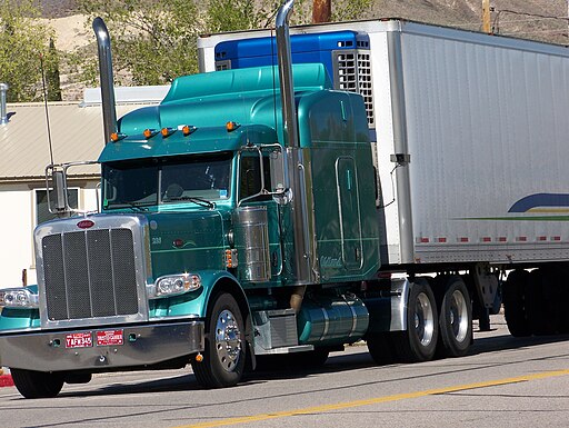 Oldland Distributing truck Peterbilt No 286