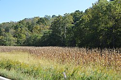 Fields on State Route 681 west of Alfred