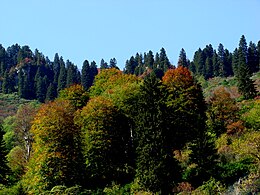 Descrierea acestei imagini, comentată și mai jos