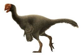 Life restoration of Oviraptor