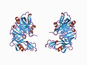 1bbs: Kristalografska analiza kompleksa peptidnih inhibitora definiše strukturnu bazu specifičnosti za ljudske i mišje renine