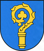 Coat of arms of Gmina Ciechocin