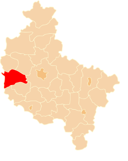 Nowy Tomyśl County County in Greater Poland Voivodeship, Poland