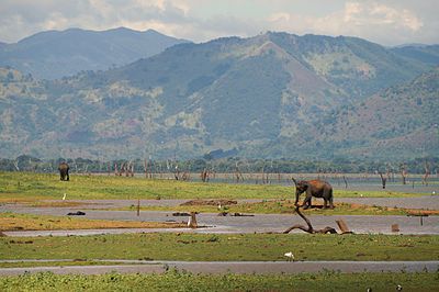 Safari dans le parc national de Uda Walawe National District de Monaragala au Sri Lanka