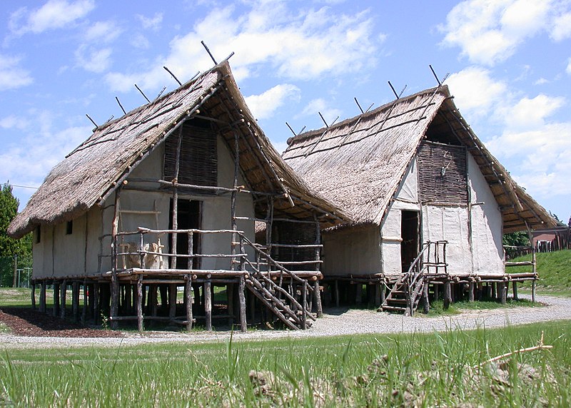 File:Parco archeologico e Museo all'aperto della Terramara di Montale.jpg