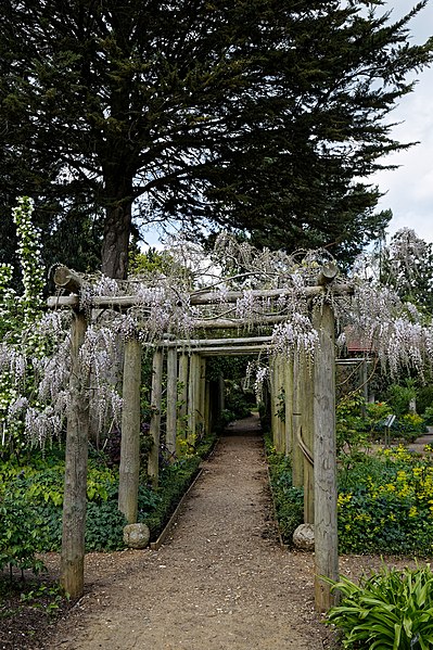 File:Pergola at Myddelton House garden, Enfield, London.jpg