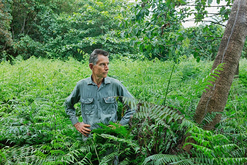 File:Peter Stanton Eubenangee Swamp National Park December 2004.jpg