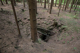 Blick in die Einsturzdoline mit dem Höhleneingang am Grund. Im Bildhintergrund die vorbeiführende Waldstraße. (Mai 2015)