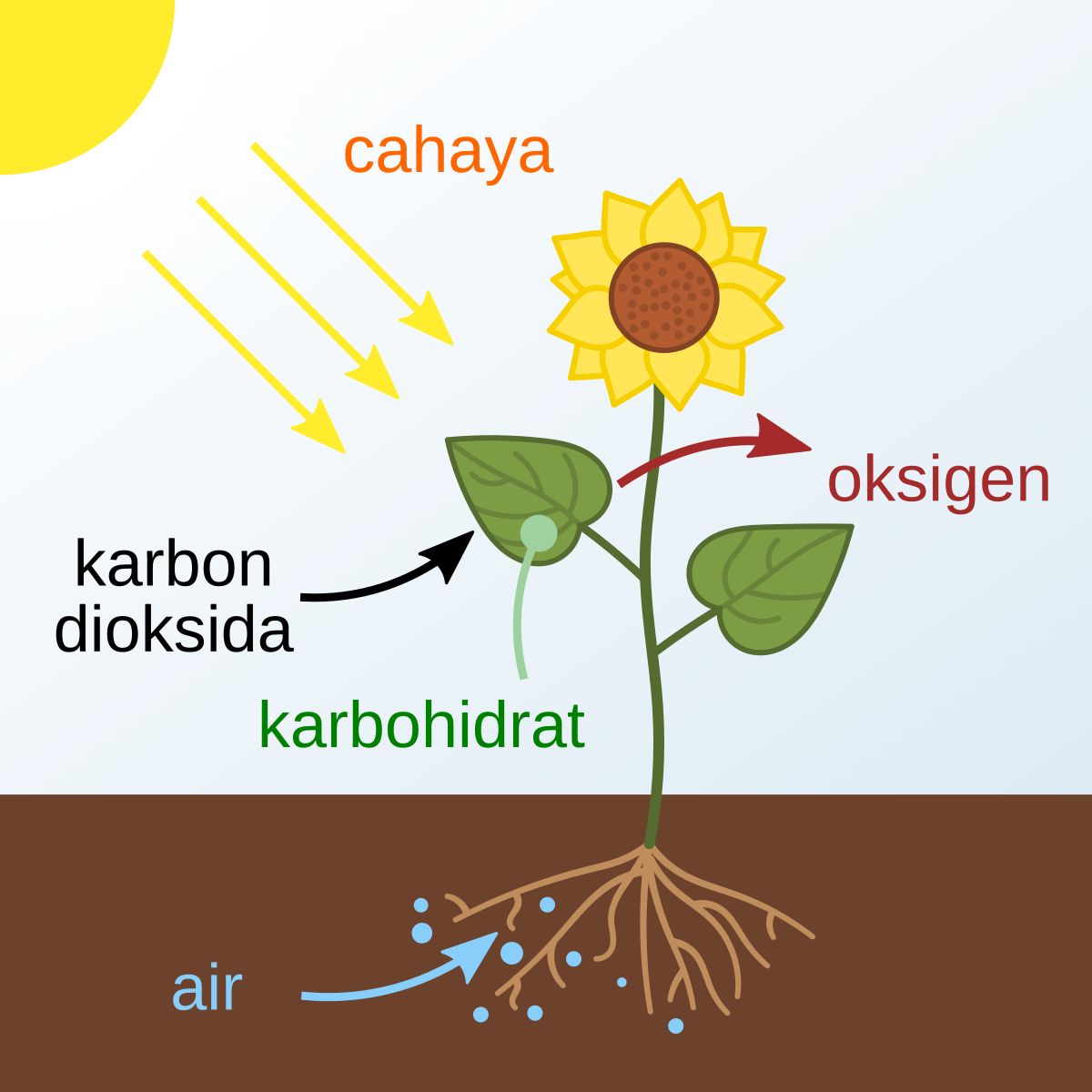 Semua organisme biotik melakukan respirasi yang bertujuan untuk