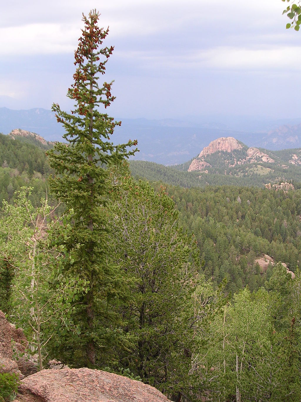 Colorado Springs, Colorado - Wikiwand