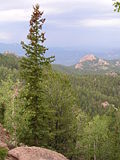 Thumbnail for File:Pike National Forest.jpg