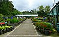 Plant area at Wyevale - geograph.org.uk - 937121.jpg