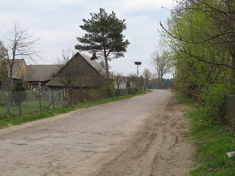 File:Podlaskie - Juchnowiec Kościelny - Szerenosy - Droga - Centrum - v-E.JPG