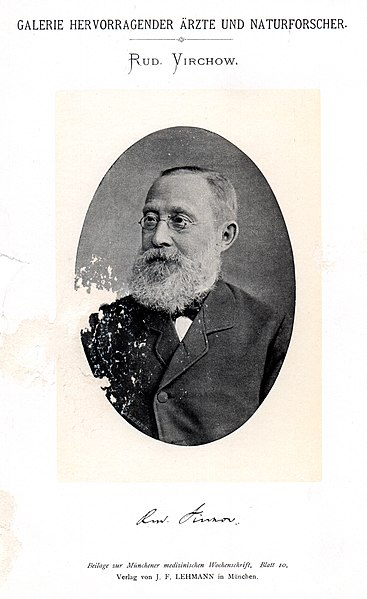 File:Portrait of Rudolf Ludwig Karl Virchow (1821-1902), Medical Scientist and Anthropologist (2552818237).jpg