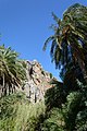 * Nomination Palm forest of Preveli, Crete --Uoaei1 15:45, 15 April 2016 (UTC) * Promotion Good quality. --Ralf Roletschek 12:32, 18 April 2016 (UTC)