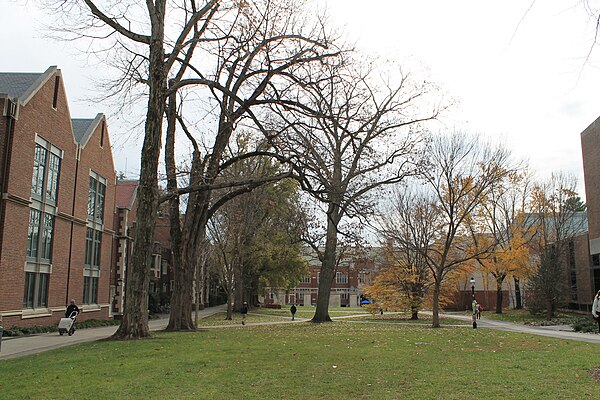 Area in front of the School of Architecture