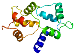 Ақуыз CALM2 PDB 1a29.png