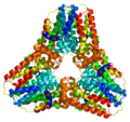 Vignette pour Géranylgéranyle diphosphate synthase