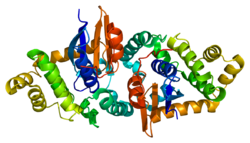 Протеин GSTK1 PDB 1yzx.png