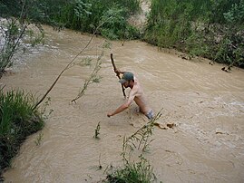 Hiker crossing the Escalante during spring floods in 2005.