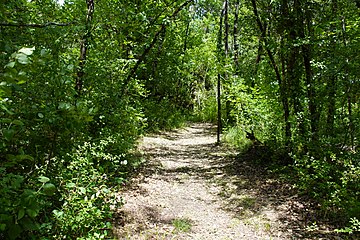 RNR Bois des Roches-3 (36) .jpg