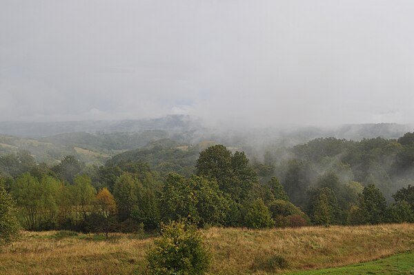 Poiana Ruscă Mountains