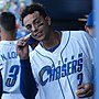 Thumbnail for Ramón Torres (baseball)