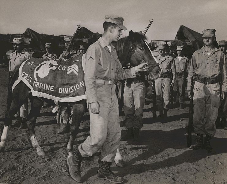 File:Reckless Inspects the Guard, 1953 (12836109125).jpg