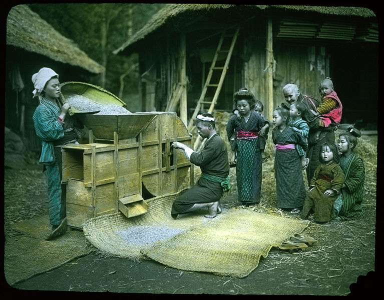 File:Rice being poured into a wooden mechanical hopper. (19762020368).jpg