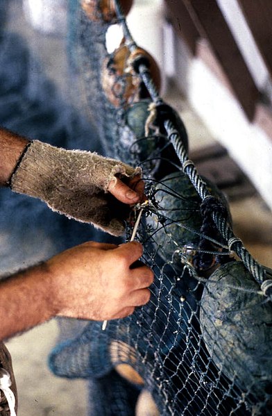 File:Rickey Doublerly knitting a fishing net- Jacksonville, Florida (3351752354).jpg