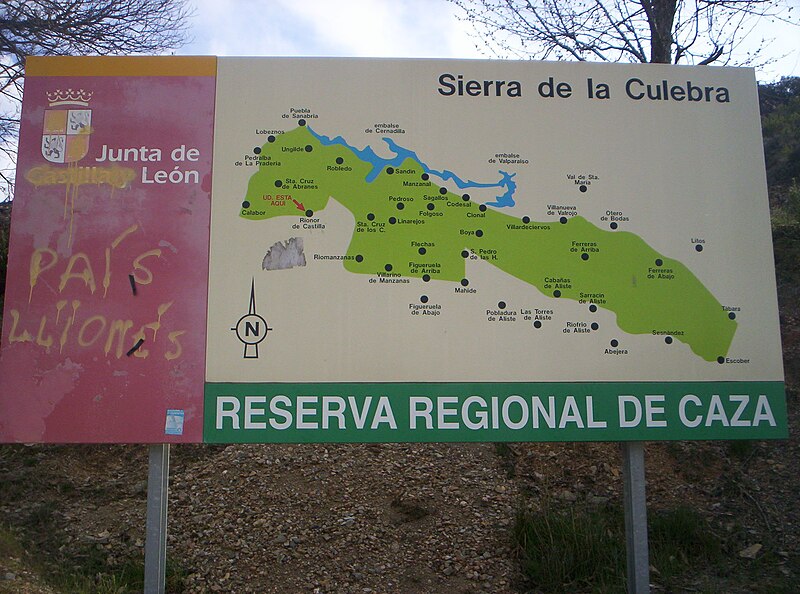 File:Rihonor de Castilla (painel com mapa).JPG