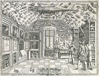 <i>Cabinet of Curiosities in Dell Historia Naturale</i>