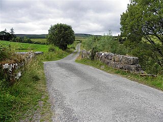 <span class="mw-page-title-main">Derrynananta Upper</span> Townland in County Cavan, Ireland