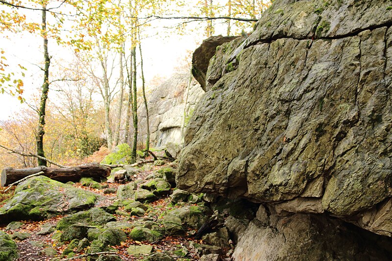 File:Roc la Tour, Parc naturel régional des Ardennes 08.jpg