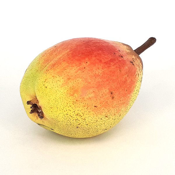 File:Rocha Pear 2017 A6.jpg