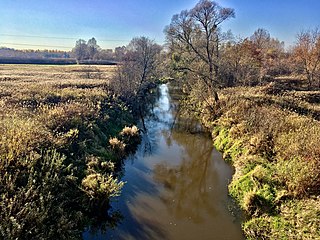 <span class="mw-page-title-main">Łęg (river)</span> River in Poland