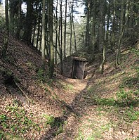 Bild 3: Südlicher Teil des Halsgrabens, links Anstieg zum Burghügel